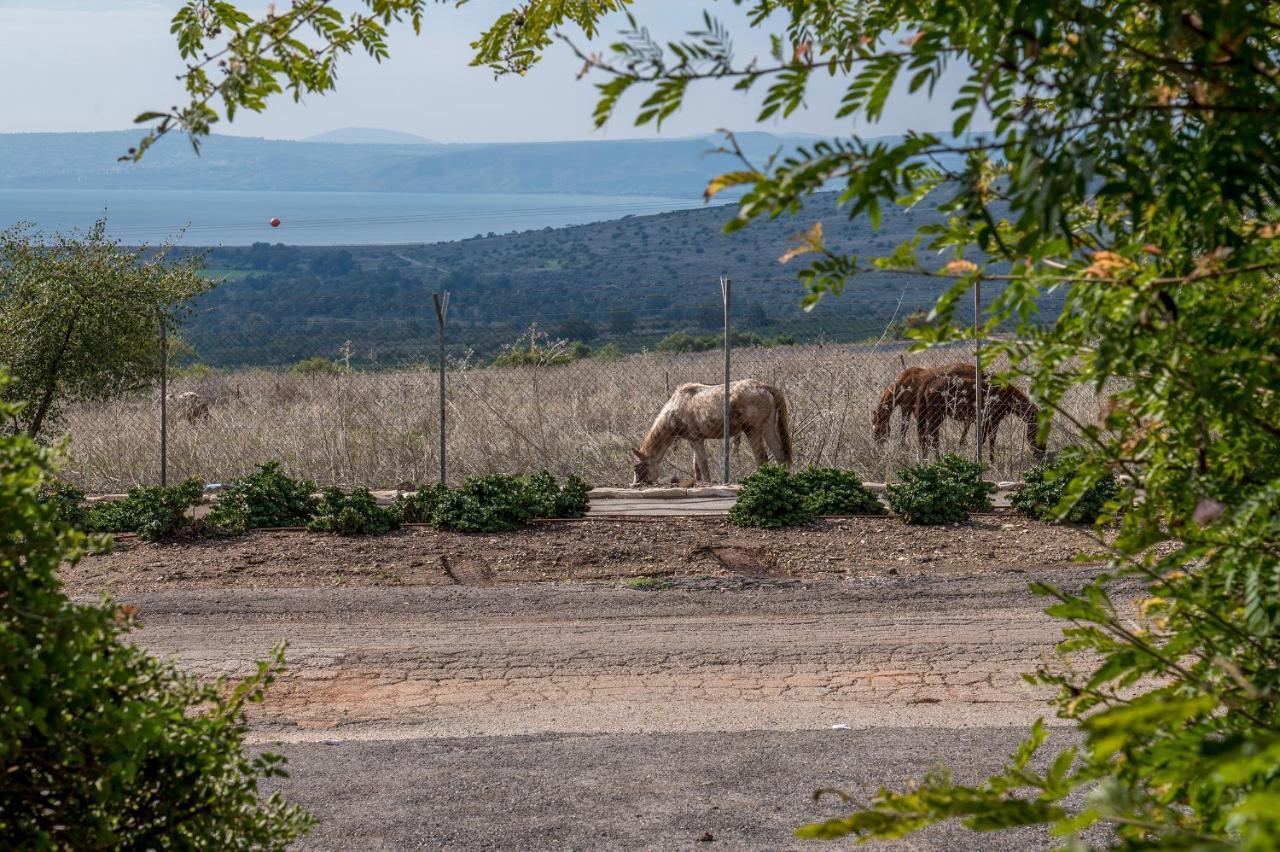 Nof Kinneret Cabins Had Nes Buitenkant foto
