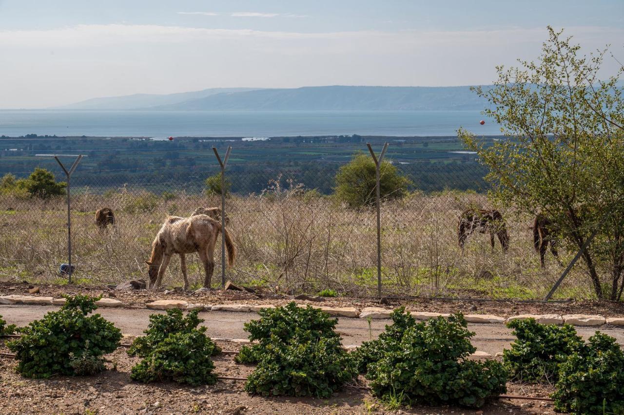 Nof Kinneret Cabins Had Nes Buitenkant foto