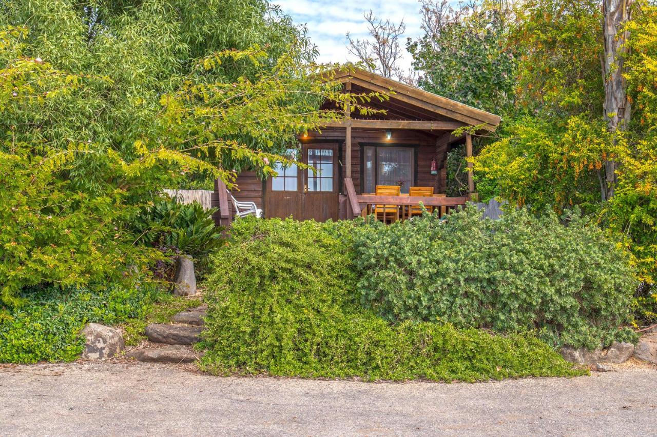 Nof Kinneret Cabins Had Nes Buitenkant foto
